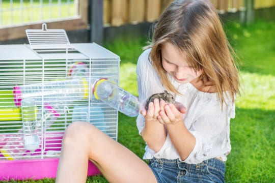 Est-ce que un hamster peut rester seul ?